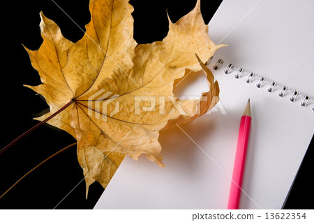 The writing subjects necessary 13622354