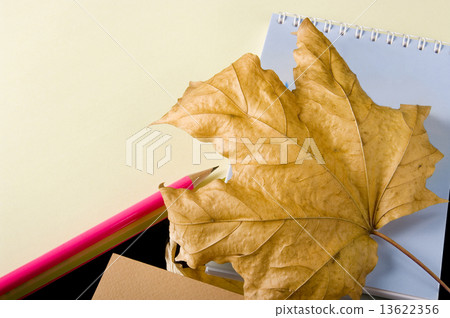 The writing subjects necessary 13622356