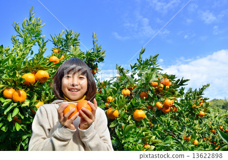 狩獵橘子的女孩 狩獵橘子的女孩 13622898