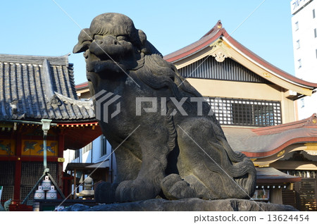 Guardian dog (Asakusa Shrine / Asakusa, Taito-ku, Tokyo) 13624454