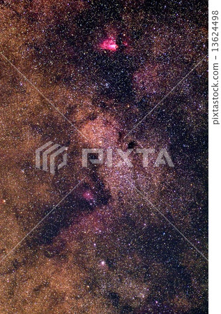 Bambi's profile 13624498