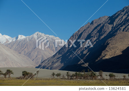 Nubra valley in Himalayas, Hunder, Ladakh, India Nubra valley in Himalayas, Hunder, Ladakh, India 13624581