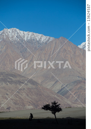 silhoulette nubra river in Nubra valley in Himalayas, Hunder, La 13624587