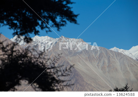 silhoulette nubra river in Nubra valley in Himalayas, Hunder, La 13624588