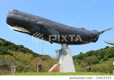 鯨睡山抹香鯨雕像 13624743