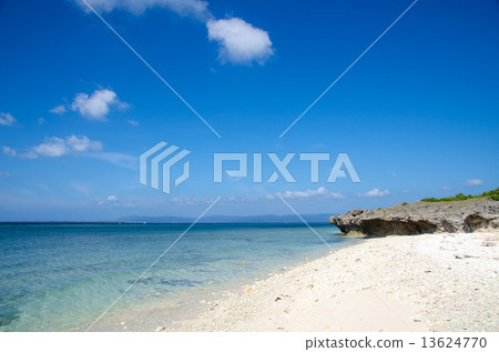 Okinawa Prefecture Kuroshima Nakamoto coast Okinawa Prefecture Kuroshima Nakamoto coast 13624770