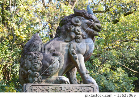 守護犬 京都市東山區八坂神社 祗園鎮 照片素材 圖片 圖庫