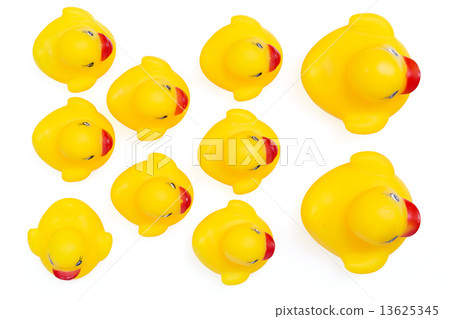 Rubber duck 13625345