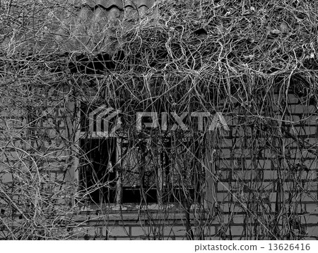 abandoned house abandoned house 13626416