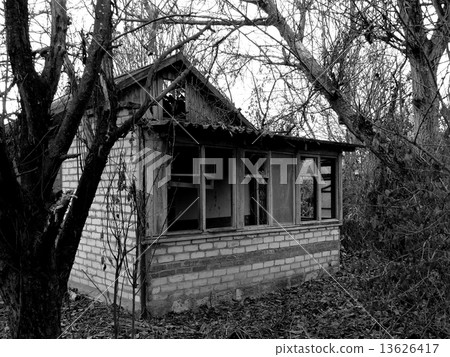 abandoned house 13626417