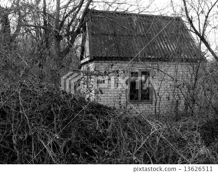 abandoned house 13626511