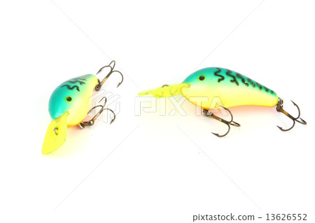 The fishing lure. The fishing lure. 13626552