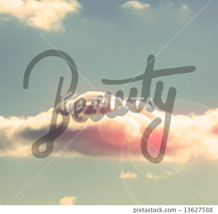Valentines day vector 13627588