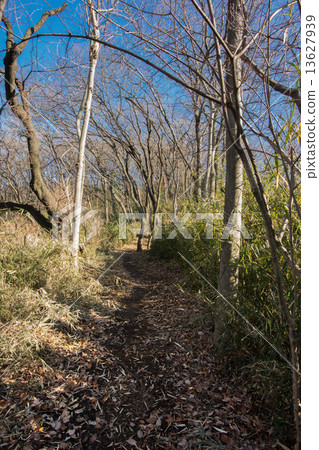 平山城堡遺址公園 13627939