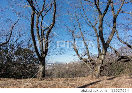 Hirayama Castle Ruins Park 13627954