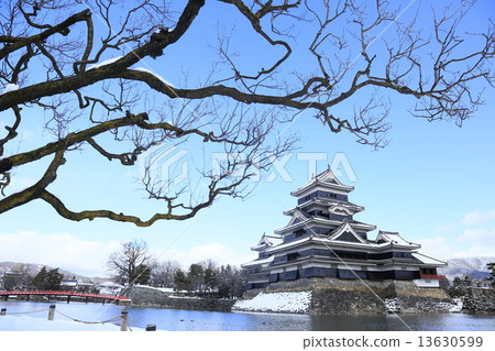 Matsumoto castle in winter 13630599