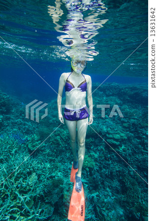 A woman who snorkelers at the Great Barrier Reef 13631642