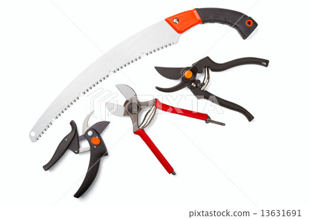 garden secateurs and hacksaw 13631691