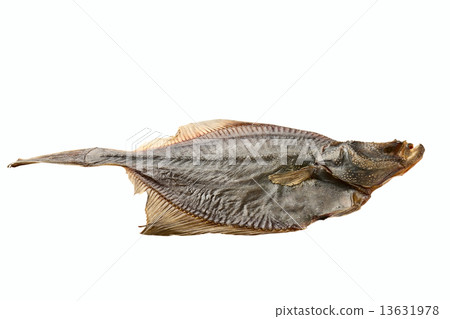 Dried fish Dried fish 13631978