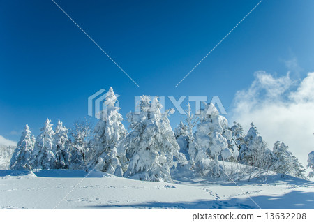 Dragon ski resort snowy mountains 13632208