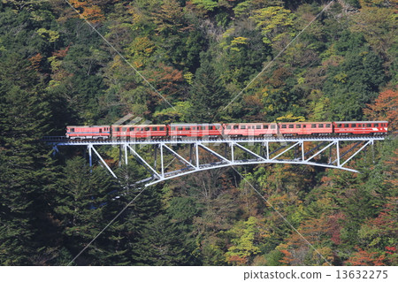(Shizuoka Prefecture) Train running Oosawa Railway Seki Izawa Railway Bridge 13632275