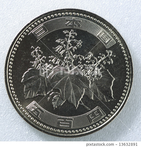 A coin 13632891