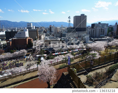 In Kofu city crowded with Shingen public festival and cherry blossom viewing 13633218