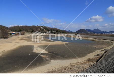 在Tameike的“Ikeishi”（在香川縣岐阜市豐中町的Miya池，對面的Koshioka八幡宮） 13633290