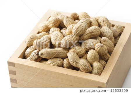 進入林蔭大道的花生 13633309