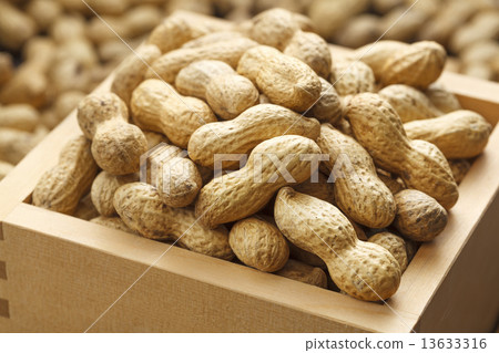 Peanut who entered the boulevard 13633316
