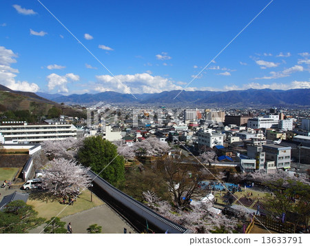 希望從舞鶴城堡公園的甲府市 13633791
