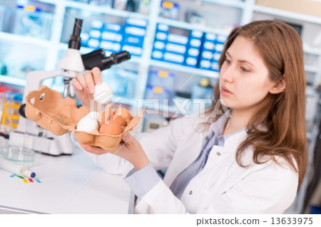 girl in the laboratory testing of food quality egg. Check the co girl in the laboratory testing of food quality egg. Check the co 13633975