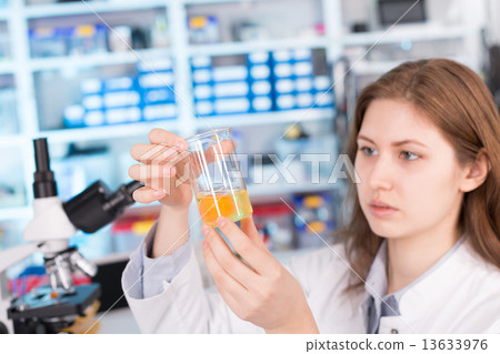 girl in the laboratory testing of food quality egg. Check the co girl in the laboratory testing of food quality egg. Check the co 13633976