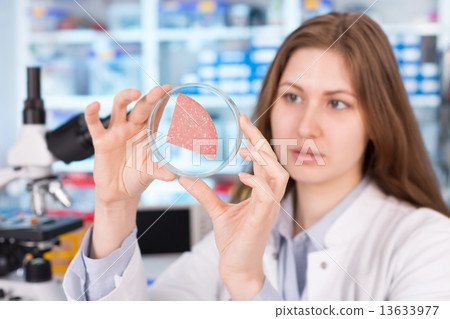 girl in the laboratory of food quality tests sausage girl in the laboratory of food quality tests sausage 13633977