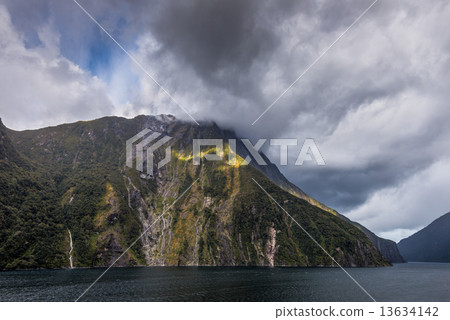 Sunbeam At Milford Sound 13634142