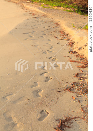 Footsteps on the beach Footsteps on the beach 13634364