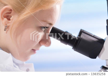 food quality control food quality control 13635258