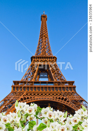 eiffel tower, France eiffel tower, France 13635964