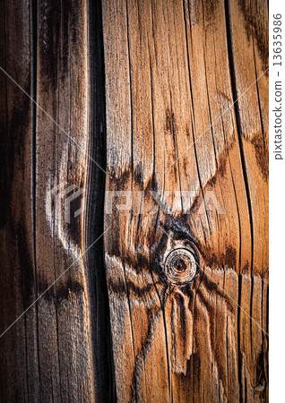 detail of wooden poles 13635986