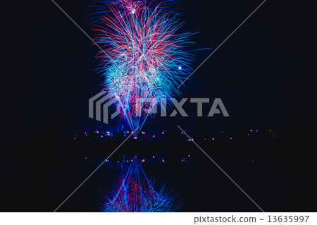 firework firework 13635997
