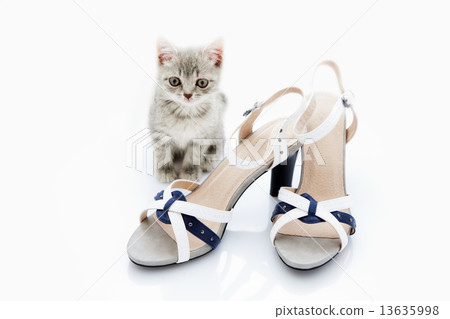 sandals sandals 13635998