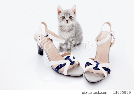 sandals sandals 13635999