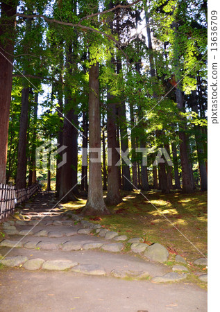 Hakodate Observatory Park · Kokeyuen garden site 13636709