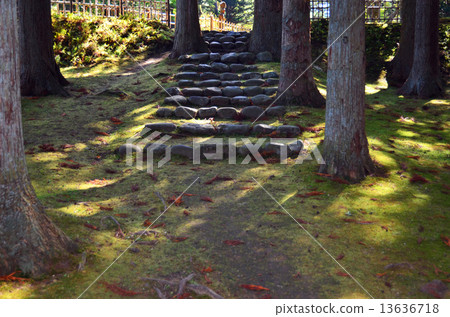 Hakodate Observatory Park · Kokeyuen garden site 13636718