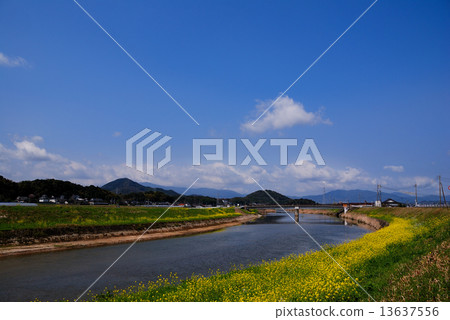 Landscape of Tokonagawa 13637556