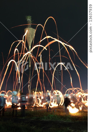 Wild geese festival 13637939