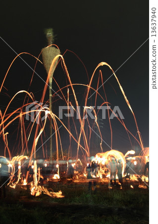 Wild geese festival 13637940
