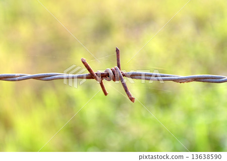 Sharp and rusty barbs on barbed wire. Sharp and rusty barbs on barbed wire. 13638590