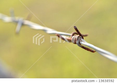 Sharp and rusty barbs on barbed wire. 13638592