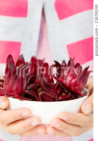 group of fresh roselle flower 13639249